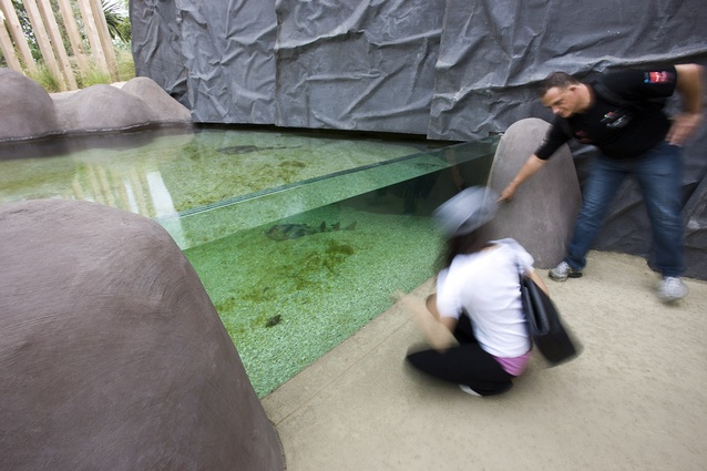 The Fiddler Ray pools lead down into the entry to The Deep.
