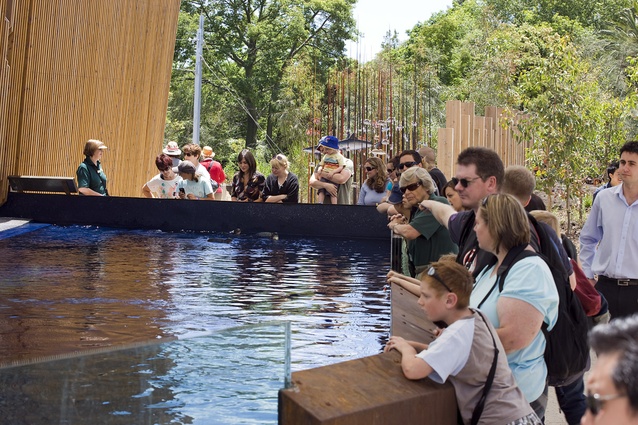 The Penguin pool is especially popular and allows close viewing of the penguins as they move through the water with incredible ease.