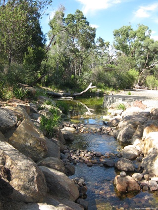 Paperbark creek provides children a dynamic landscape, while adhering to water sustainability principles.