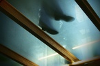 Focus: a photography exhibition