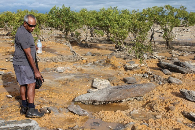 Jimmy Edgar identifying ochre.