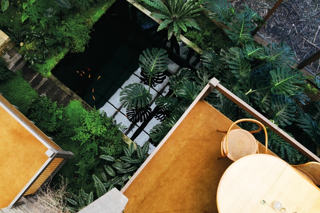 Indoor green