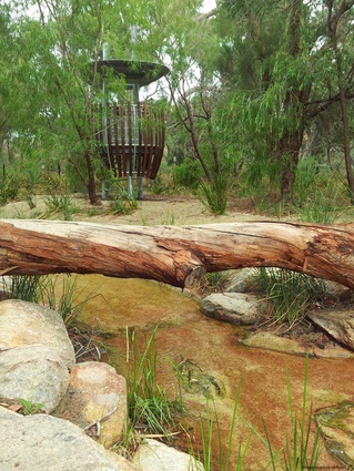 Highly stylised tree hides immerse visitors in the landscape.