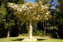 Tree of life