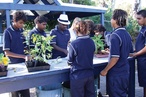 Woodville High School Community Garden Hub