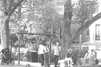 Social Cities