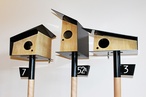 Graduate design exhibition: SA