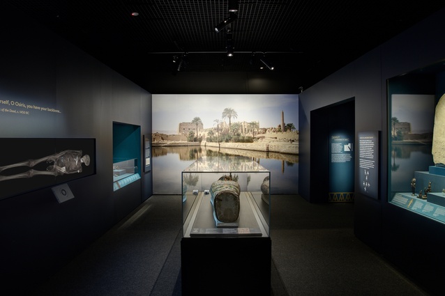 Egyptian Mummies: Exploring Ancient Lives by Studioplusthree.