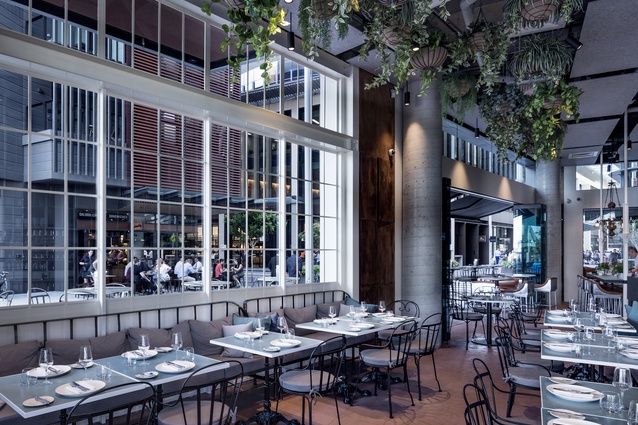 Banksii Vermouth Bar and Bistro by Luchetti Krelle.