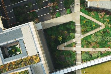 Transformative landscapes: Designing the healthy city