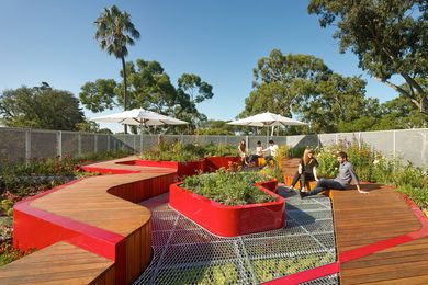 A University of Melbourne Study finds glancing at a green roof, even for a short time, can markedly boost concentration. The Burnley Living Roofs at the University of Melbourne by Hassell received a design award at the 2014 Victorian Architecture Awards.