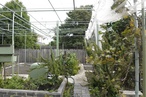 Garden as Education: Learning the ‘old ways’ of traditional Mediterranean food practices