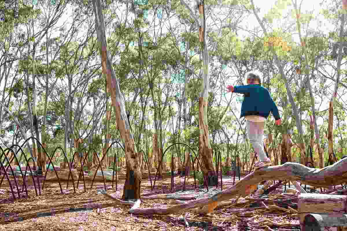 Para Wirra Nature Playspace by TCL won a Landscape Architecture Award in the Play Spaces category.