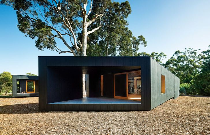 In Karri Loop House by MORQ, the trees on the site governed the arrangement and form of the house.