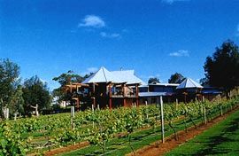 The recent refit of Vasse
Felix, the region’s first commercial winery, by
Campion Design Group. Photograph Paul Johnson, Zoom.