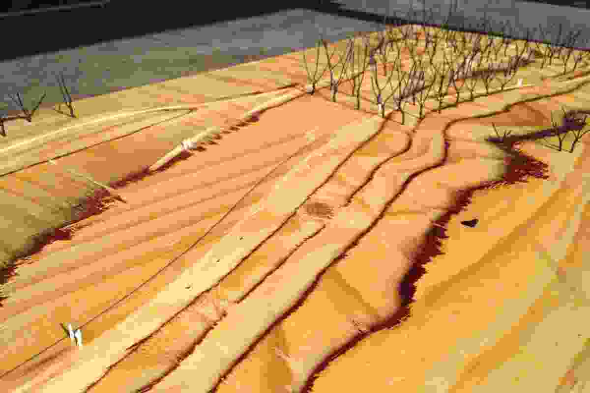 This topographic model shows the two distinct areas of the reserve, with the grassland in the foreground.