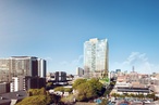 BVN's biophilic office tower for Brisbane