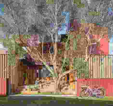 Architect Jo Bastian has created Olive Tree House, a place of sociable abundance for her own young family.