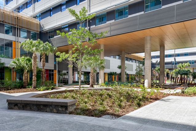 university hospital sunshine coast pdf