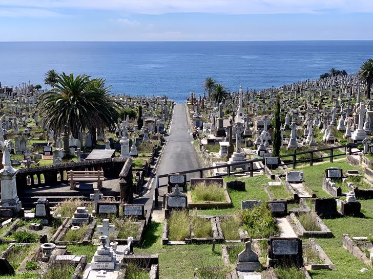 Memory forests: designing the future of cemeteries | Landscape Australia