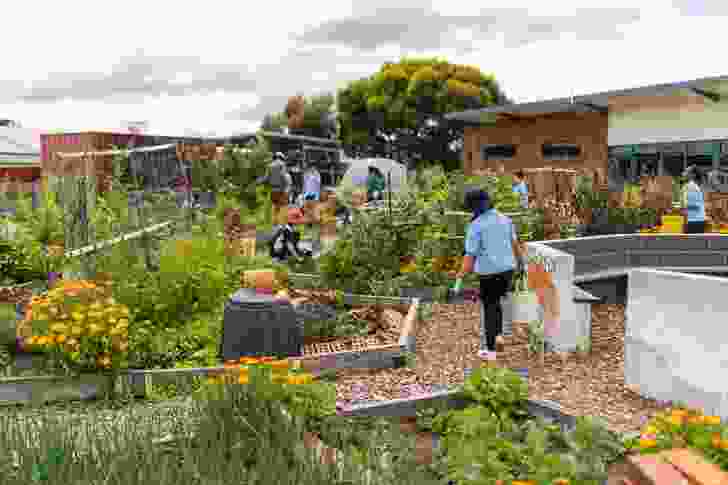 24 Carrot Gardens, school kitchen garden project.