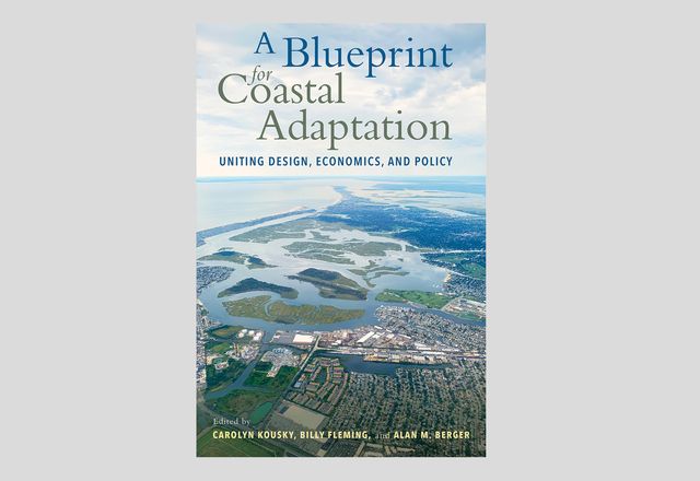 A Blueprint for Coastal Adaptation: Uniting Design, Economics, and Policy.