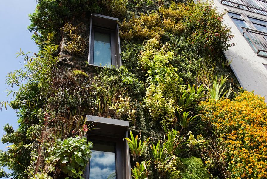UK-based research has found that heatwaves in polluted urban areas could render exterior green walls a risk to human health.