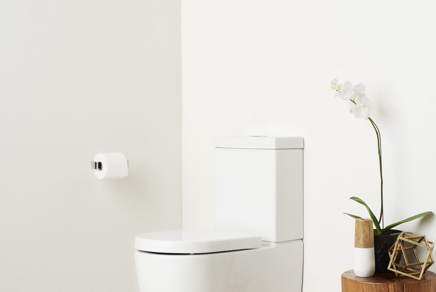 New Caroma Cleanflush toilets.