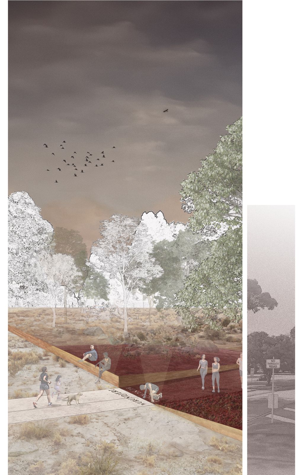 2024 Landscape Architecture Australia Student Prize (Winner): The ...