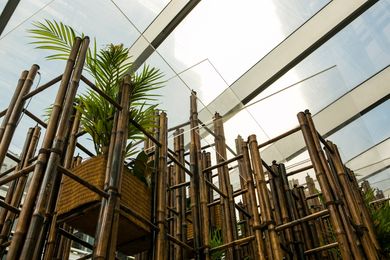 Green Ladder by Vo Trong Nghia at Exchange Place, Barangaroo. Presented by Barangaroo Delivery Authority in collaboration with the Sherman Centre for Culture and Ideas.