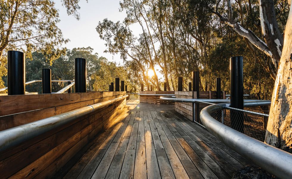 Ebb and flow Koondrook Wharf Landscape Australia