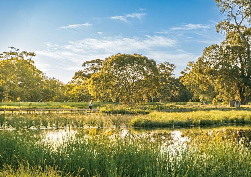 2023 National Landscape Architecture Awards: Award For Climate Positive ...