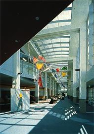 Photograph of the galleria at the New Children’s Hospital.