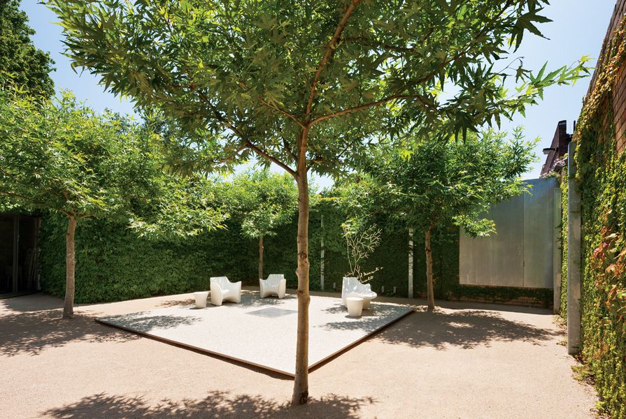 A crisp plane of paving is positioned within a square of four plane trees.