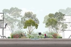 More than just drains: Recreating living streams through the suburbs