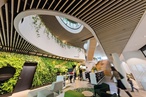 Jungle book: Woollahra Library