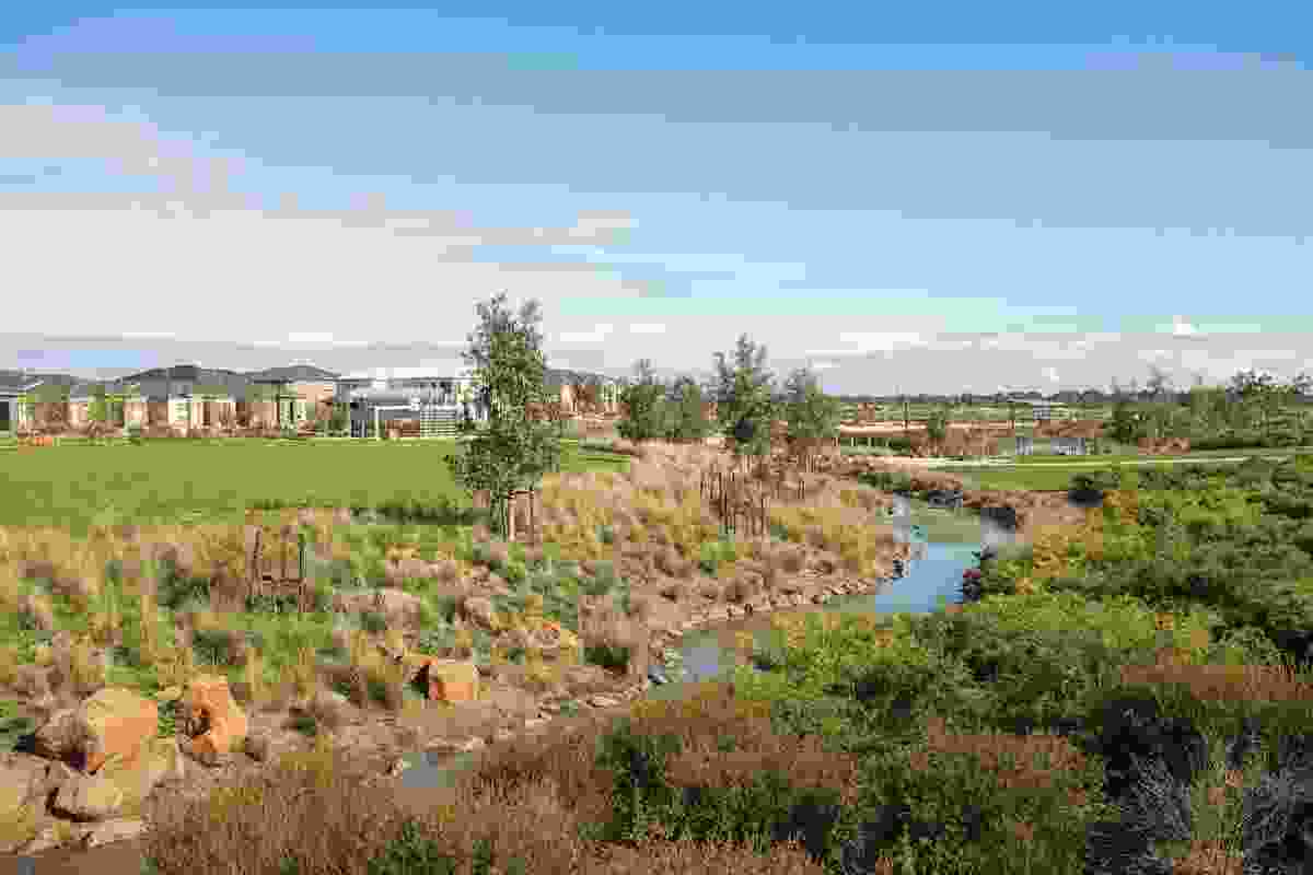 A series of wetlands aims to scrub collected stormwater prior to its discharge.