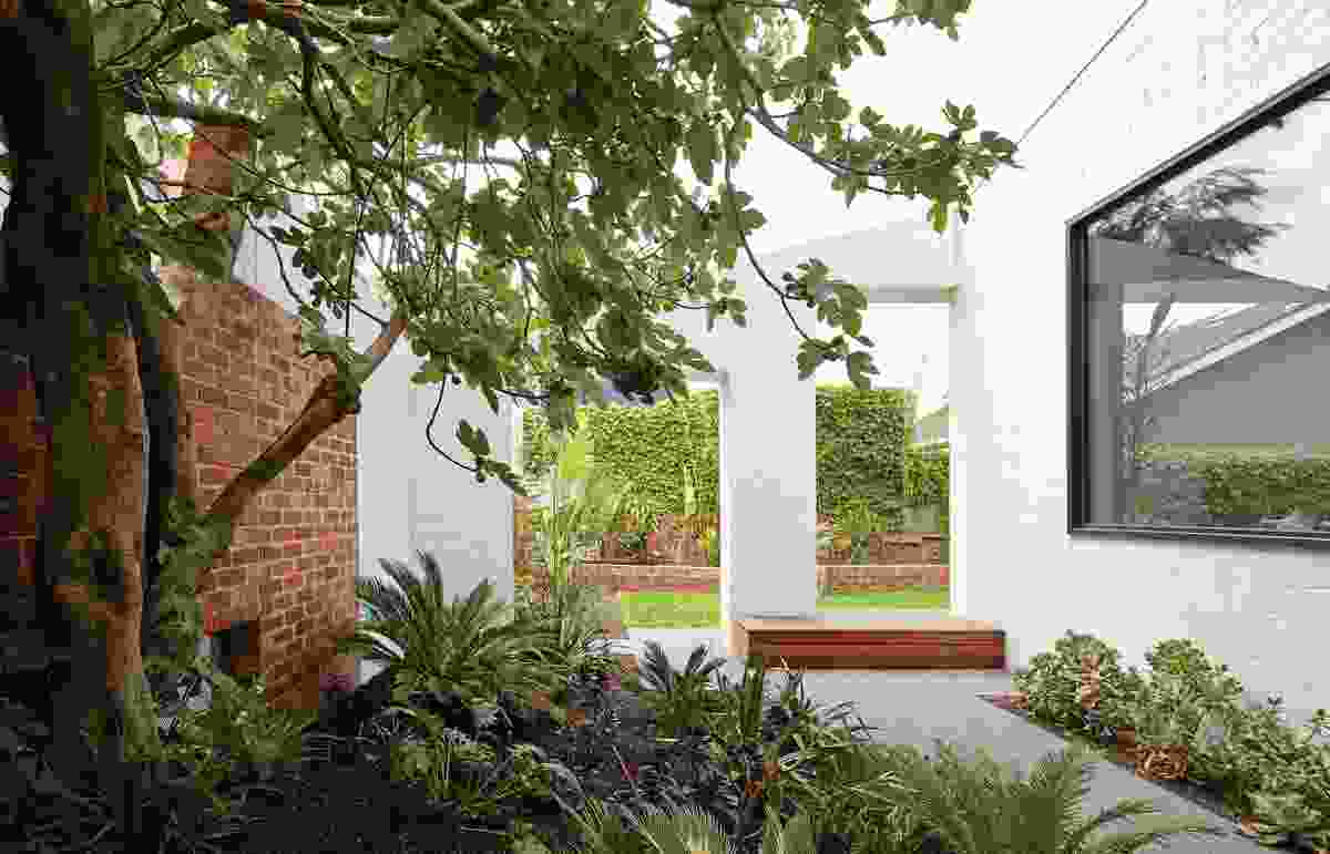 An outdoor room to the west of the living area is reserved purely to celebrate a fig tree.