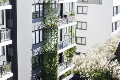 Eve Apartments by 360 Degrees Landscape Architects.