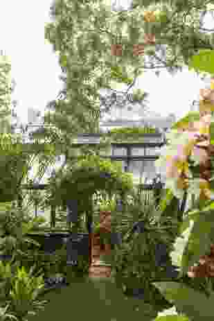 The planting at the extensive waterfront garden at Wyoming on Sydney Harbour reflects the lush, sub-tropical possibilities of gardening in Sydney.