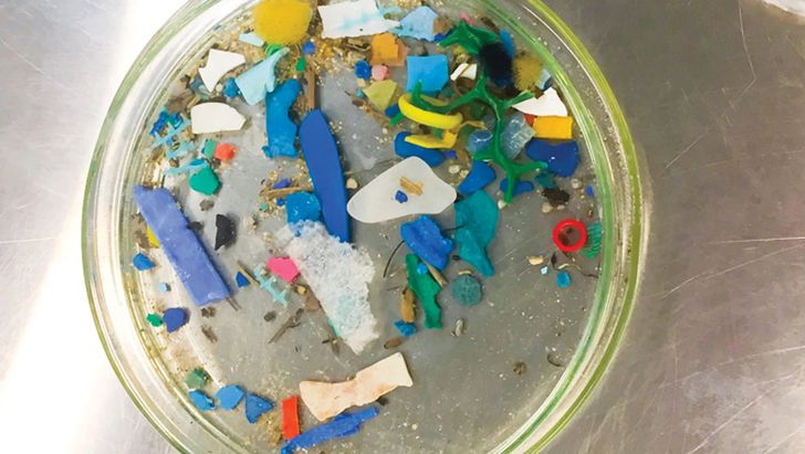 Marine microplastics found in remote seawater of Australia.