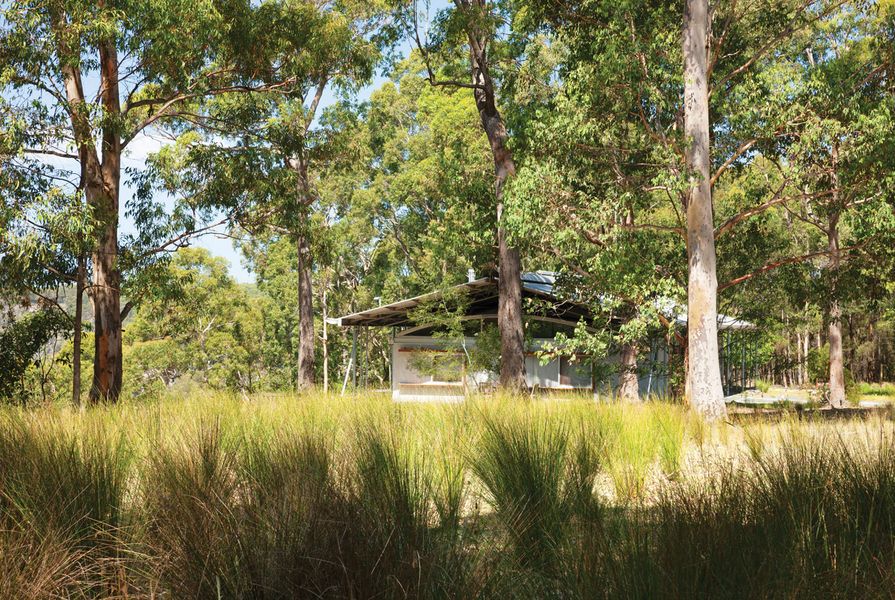A view to the house from the western paddock at Forest Edge Garden by JILA.