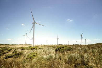 Windfarms are typically located in areas with consistently high winds, proximity to existing energy infrastructure and availability of accessible land.