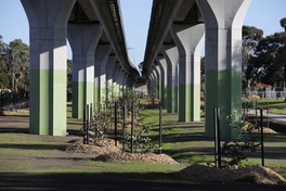 Melbourne level-crossing removal project wins Victorian Premier's Sustainability Award