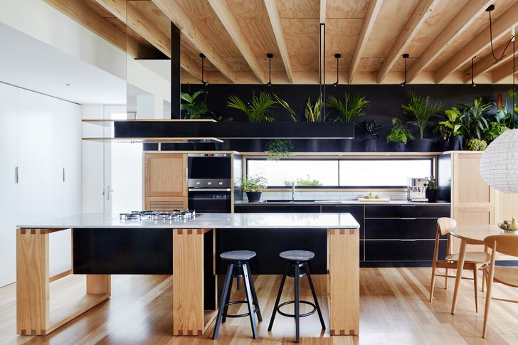 A kitchen in robust formply is built to withstand the daily bustle of family life, while an open shelf provides ample storage for plants.