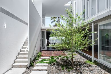 The seasonal transformation of the birch tree at New Farm Park House is a focal point in the landscaped garden.