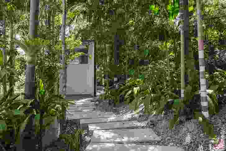 A winding staircase of concrete slabs meanders up through a garden forest to Studio for Indigo Jungle.