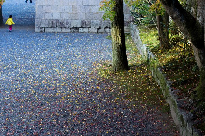 Empty courtyard, Shinjuku.