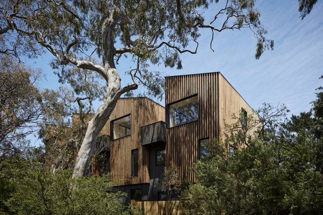 Parkville Townhouses by Fieldwork McAuley.