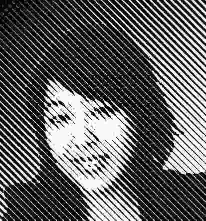 Christina Cho, Cox Rayner